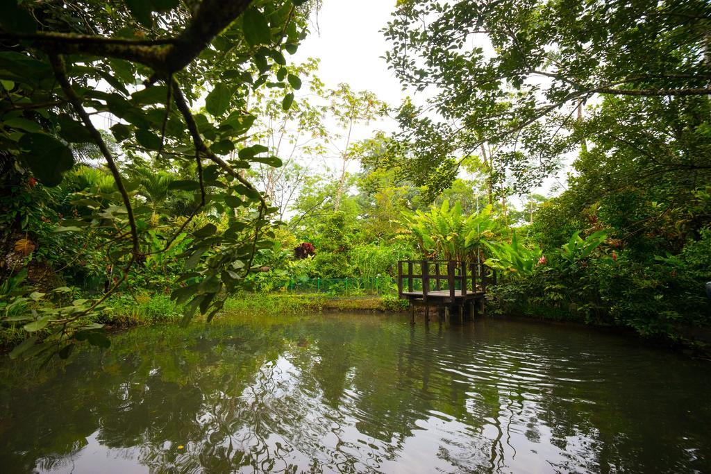 Blue River Resort & Hot Springs ليبيريا المظهر الخارجي الصورة
